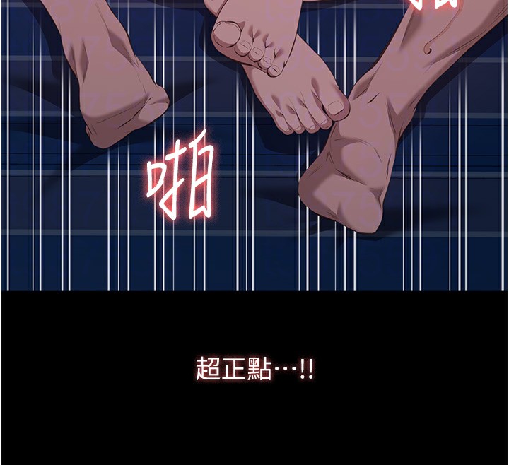 106P - 万能履历表