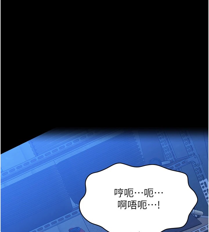 11P - 万能履历表