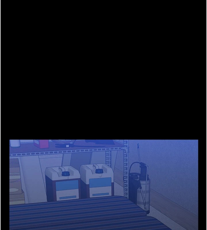 153P - 万能履历表