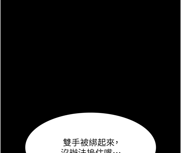 27P - 万能履历表