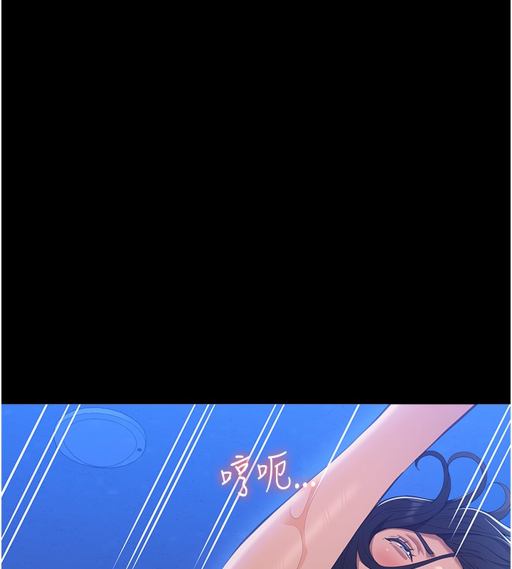 17P - 万能履历表