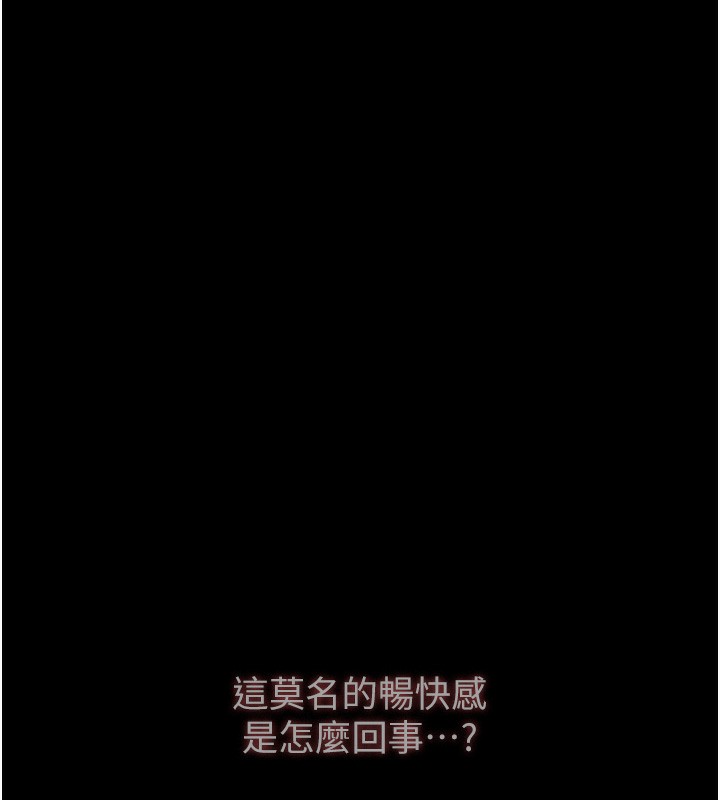 29P - 万能履历表