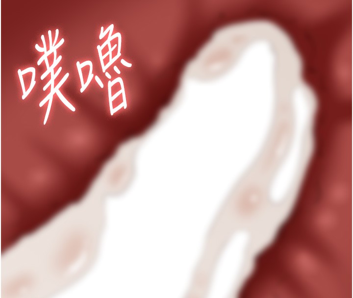 48P - 万能履历表