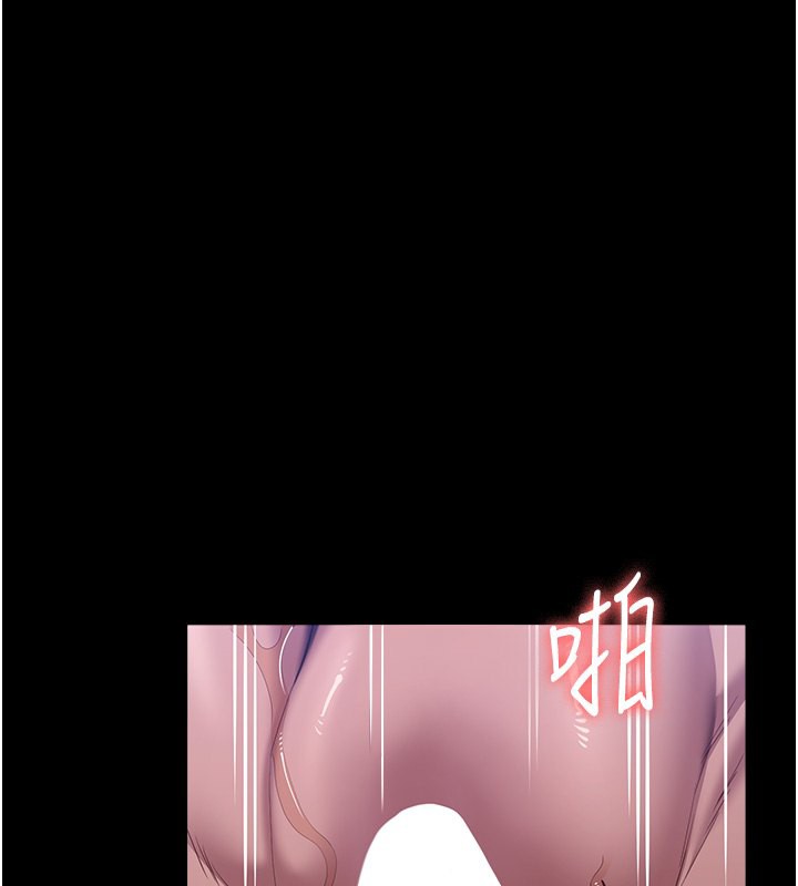 3P - 万能履历表