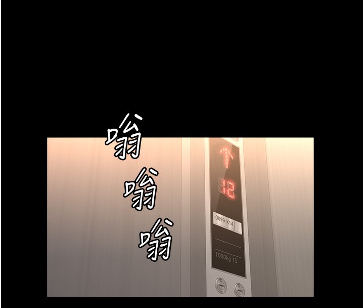 174P - 万能履历表
