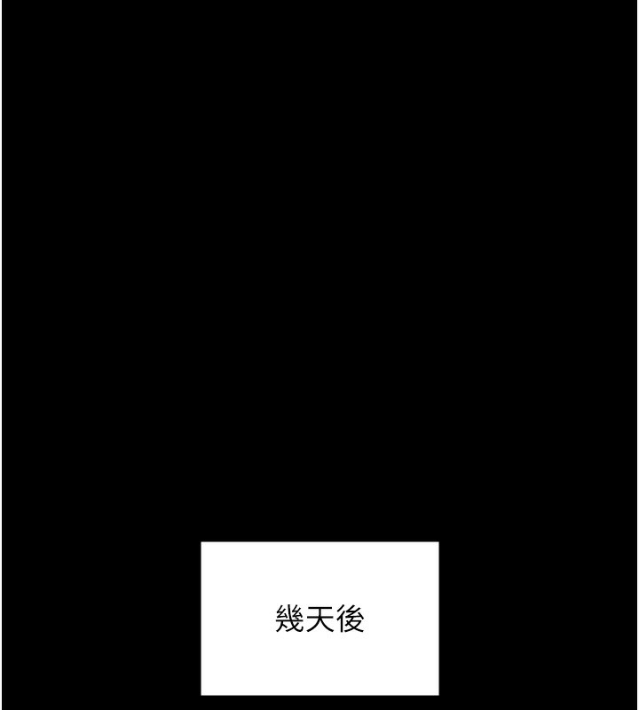 99P - 万能履历表