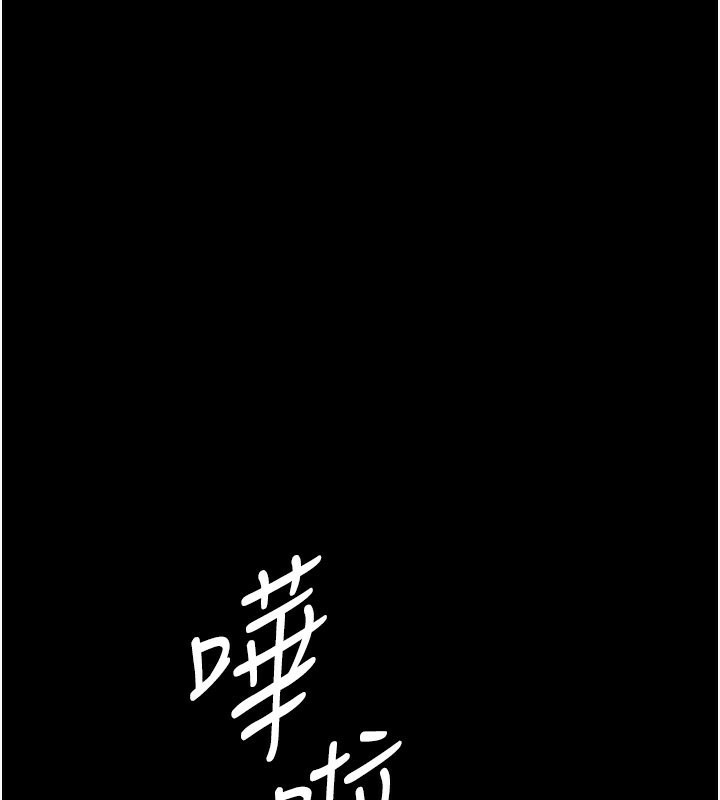 24P - 万能履历表