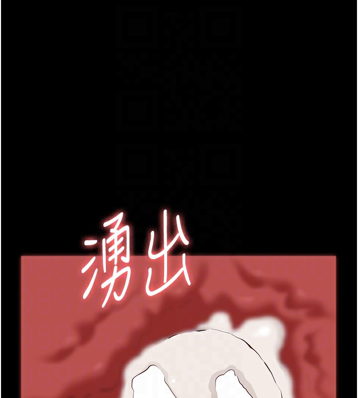 81P - 万能履历表