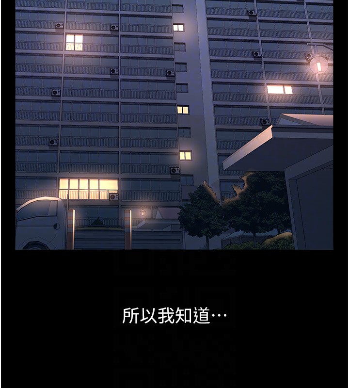 32P - 万能履历表