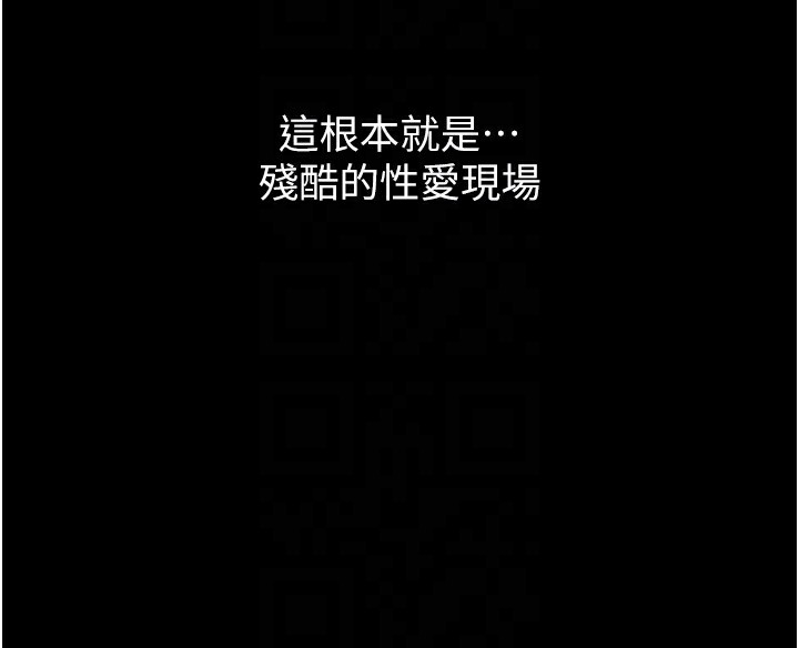 22P - 万能履历表