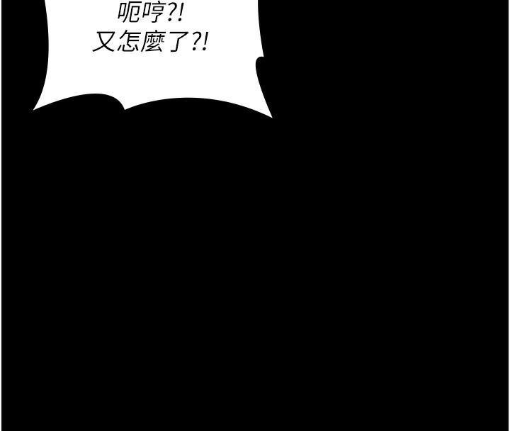 41P - 万能履历表