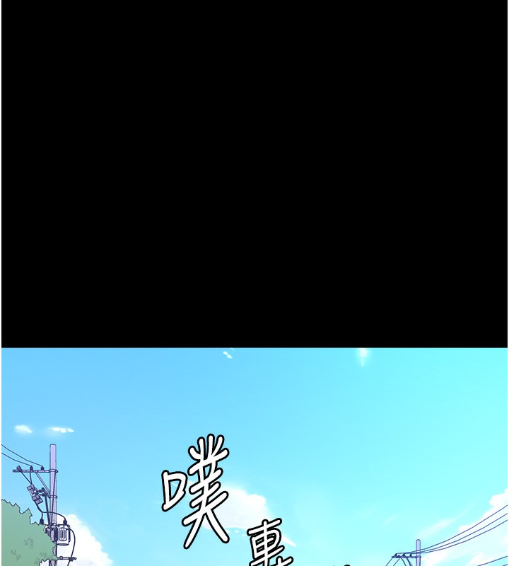 153P - 万能履历表