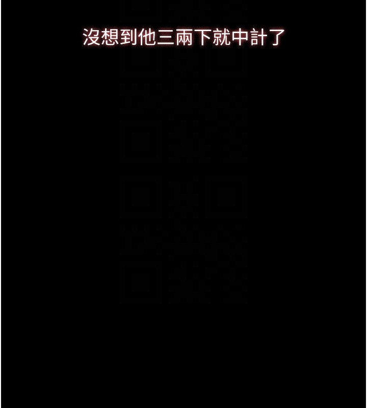 37P - 万能履历表