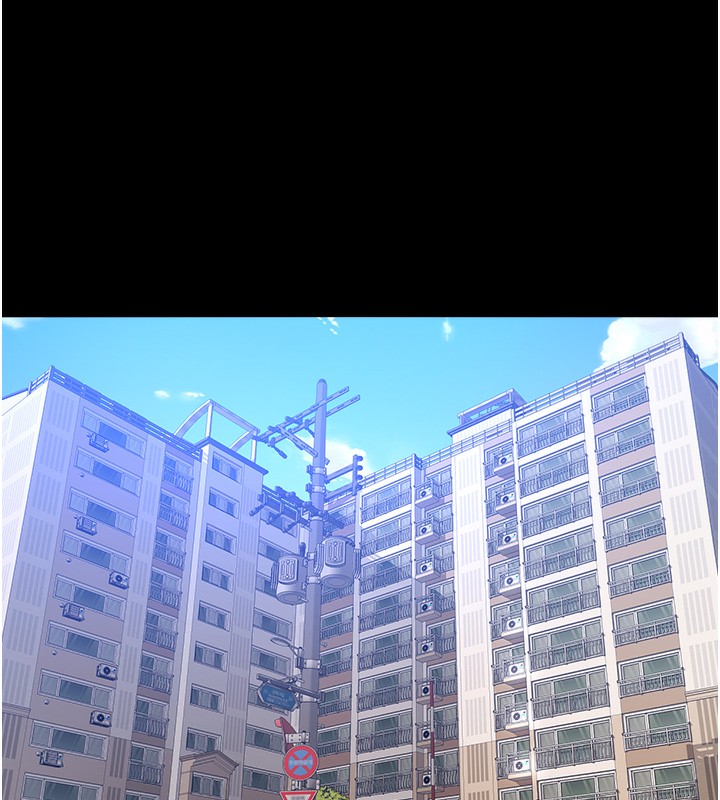 13P - 万能履历表