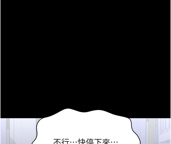 224P - 万能履历表