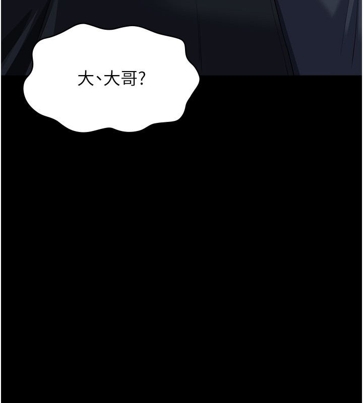 23P - 万能履历表