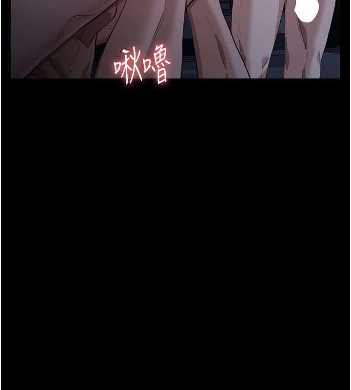 146P - 万能履历表