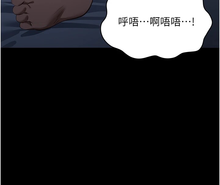 153P - 万能履历表