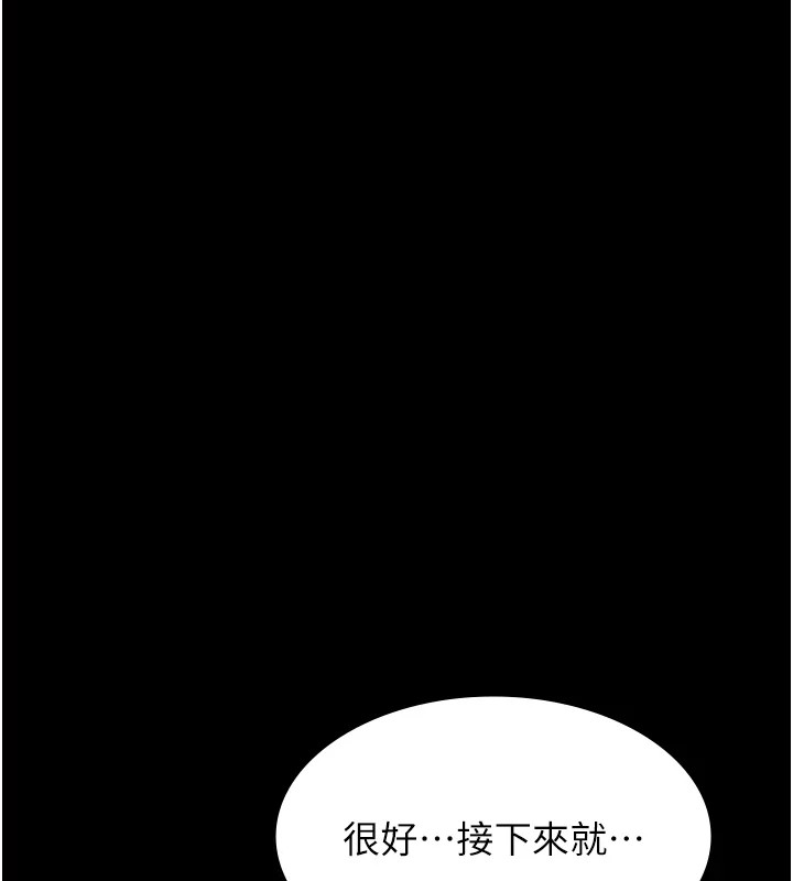 43P - 万能履历表