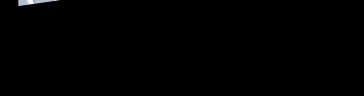 28P - 万能履历表