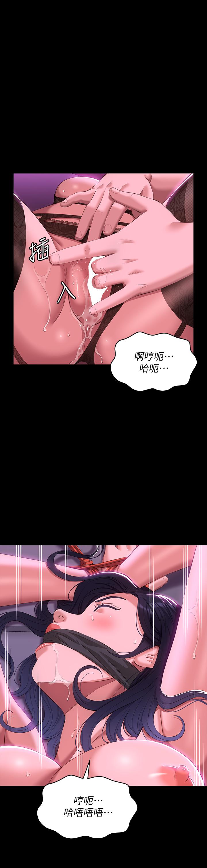 1P - 万能履历表