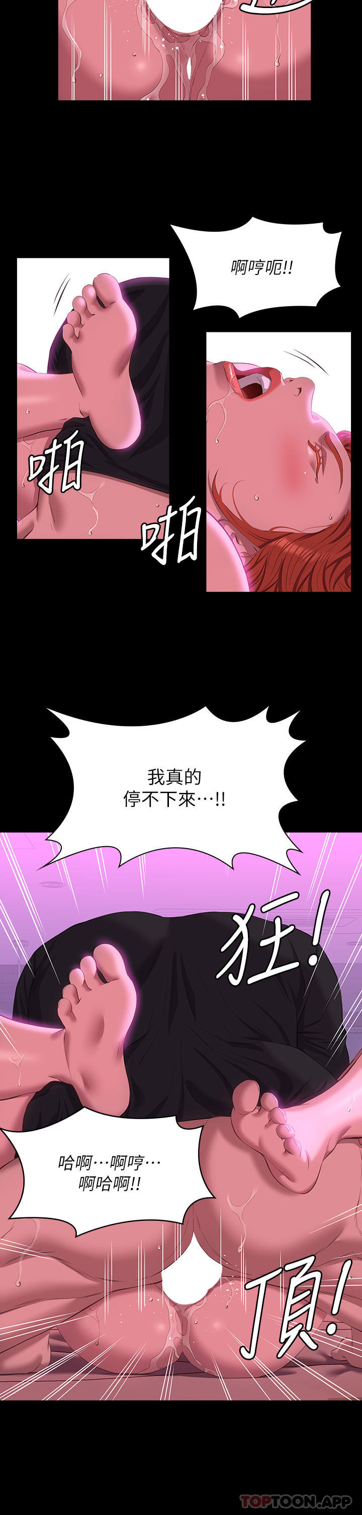 11P - 万能履历表