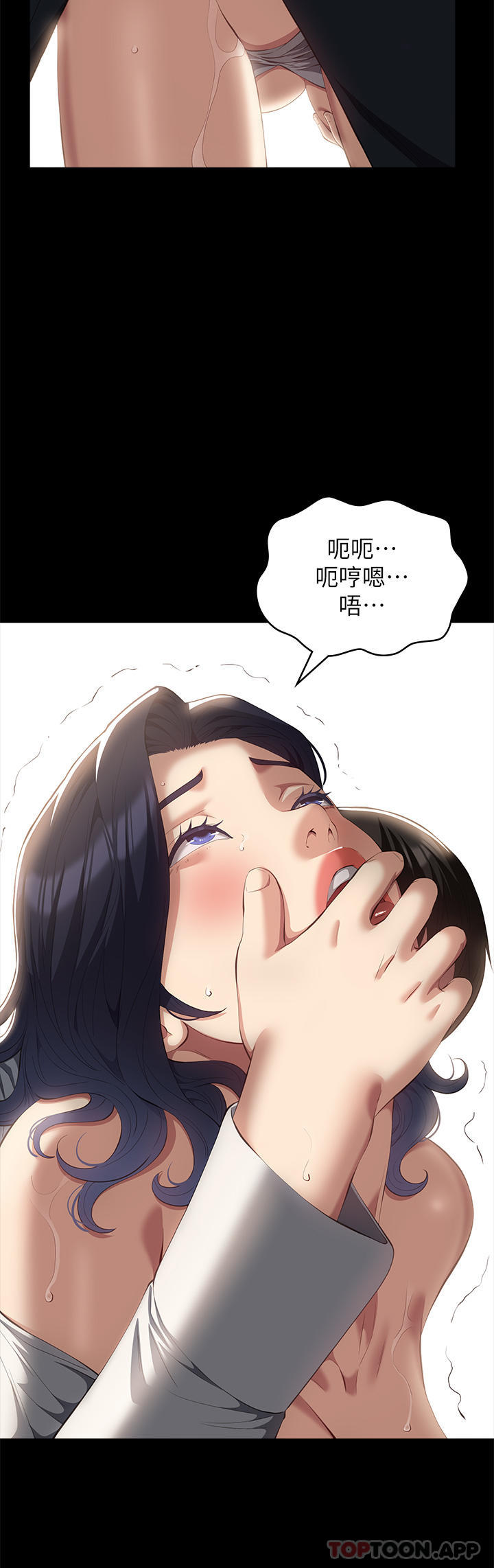 14P - 万能履历表