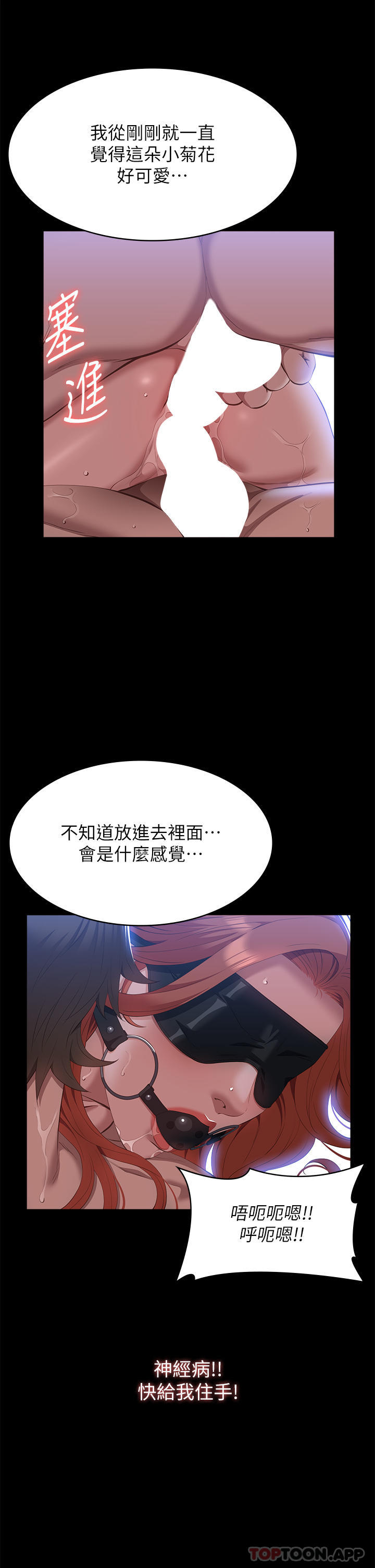 19P - 万能履历表