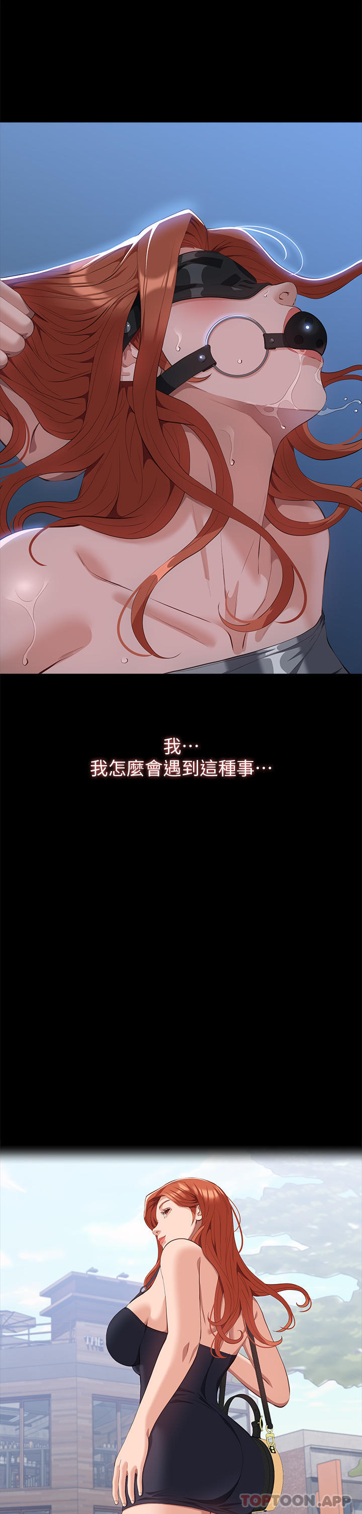 28P - 万能履历表