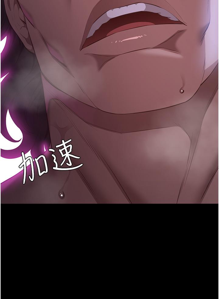 49P - 万能履历表