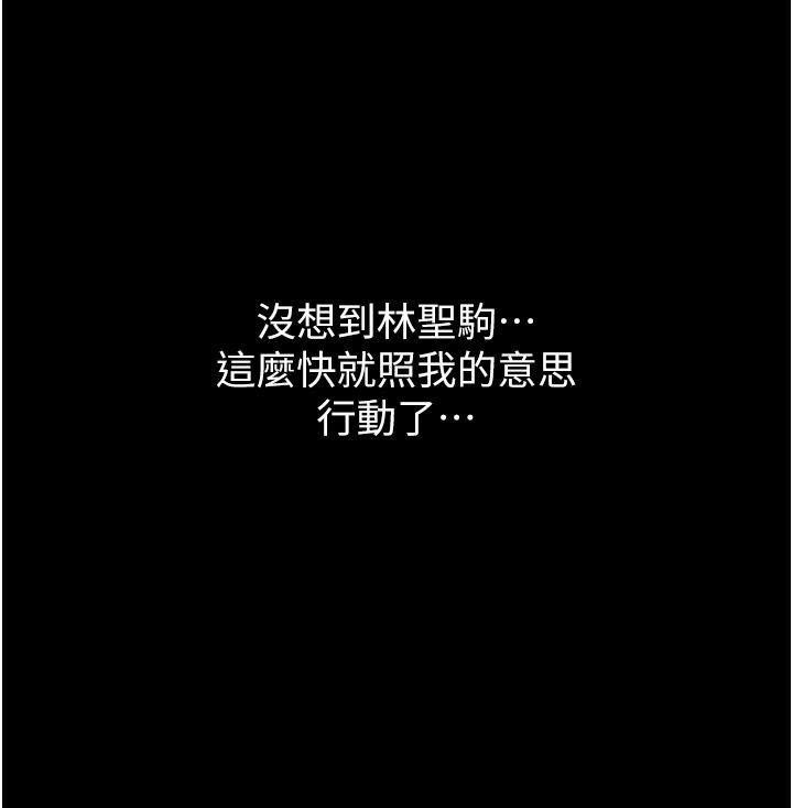 11P - 万能履历表