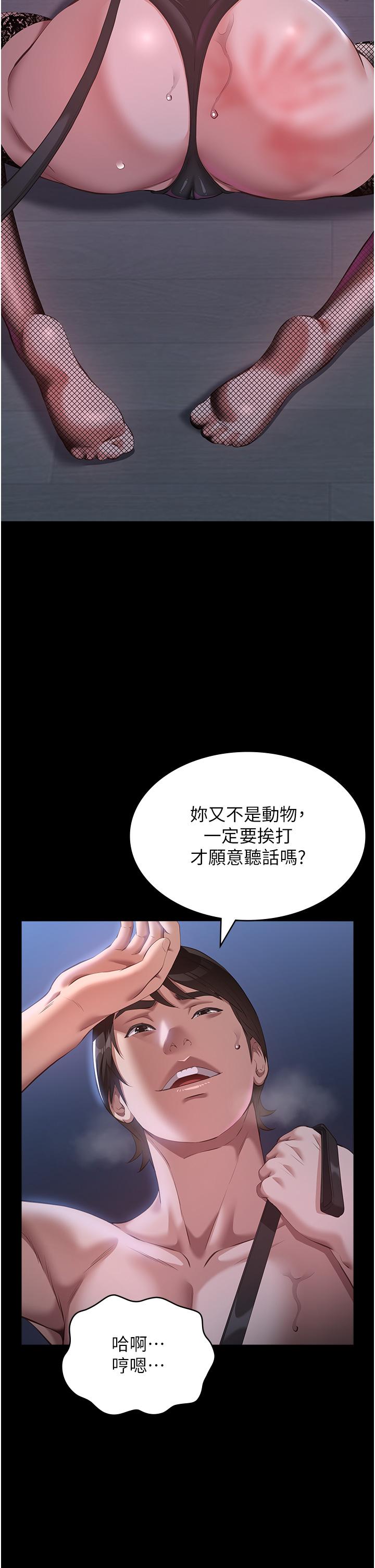 16P - 万能履历表