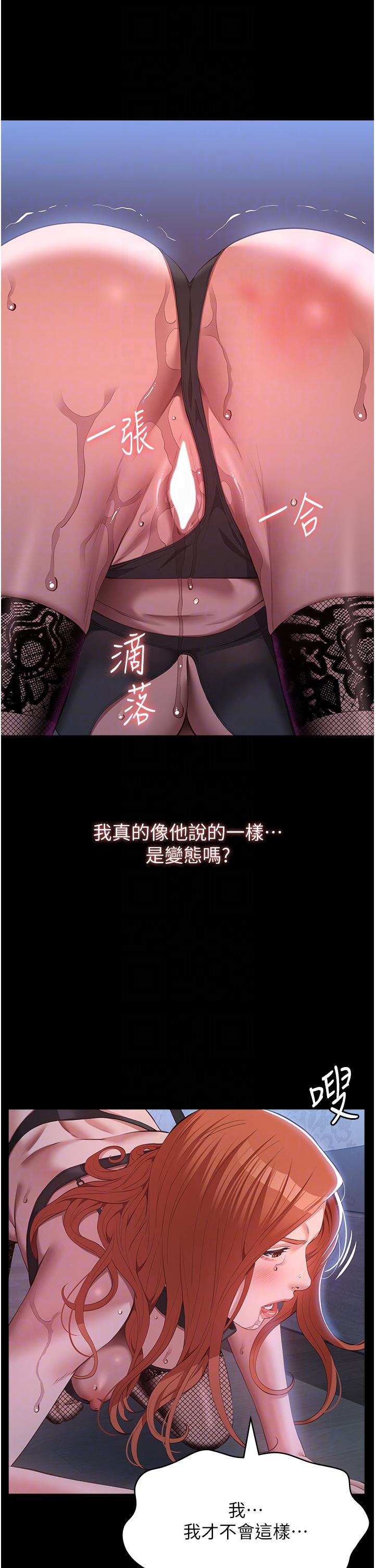 30P - 万能履历表