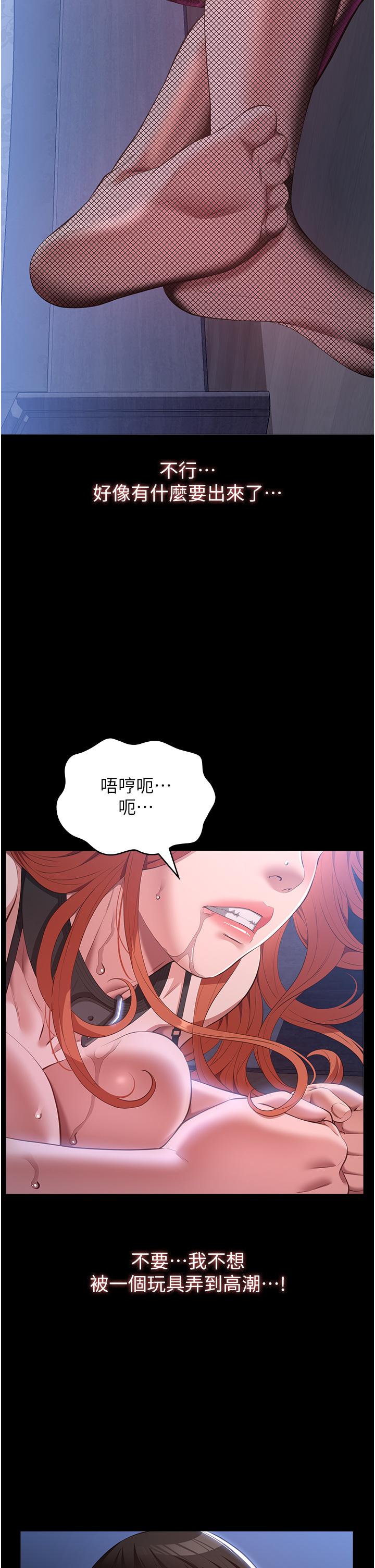 37P - 万能履历表