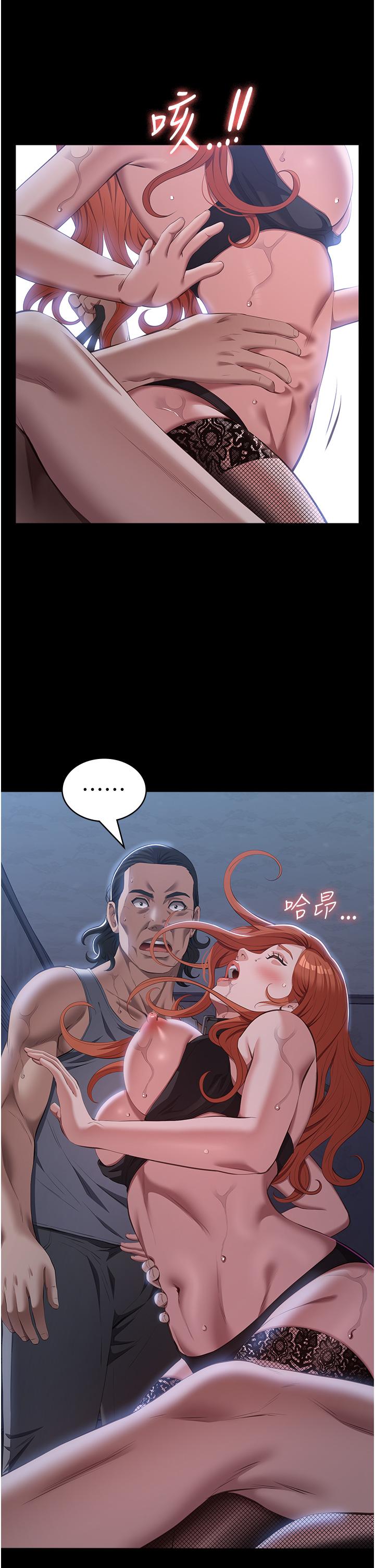 19P - 万能履历表