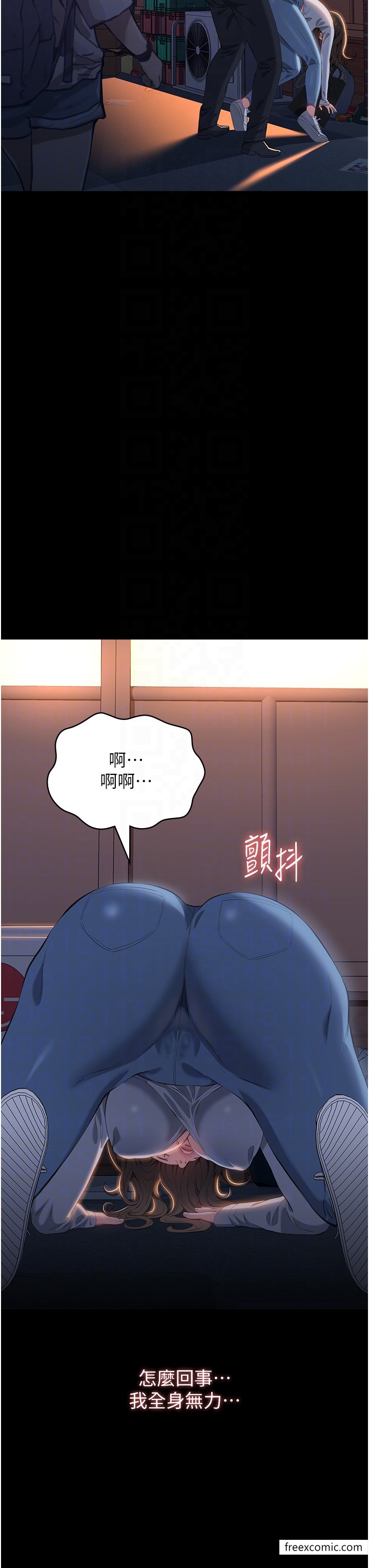 28P - 万能履历表