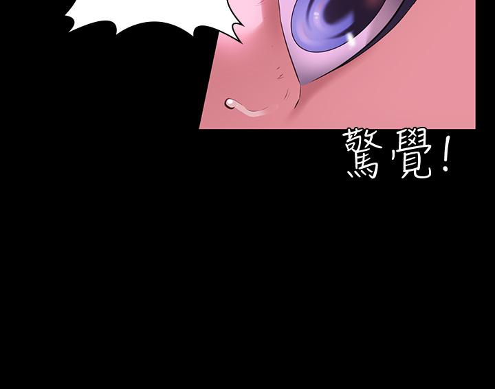 37P - 万能履历表