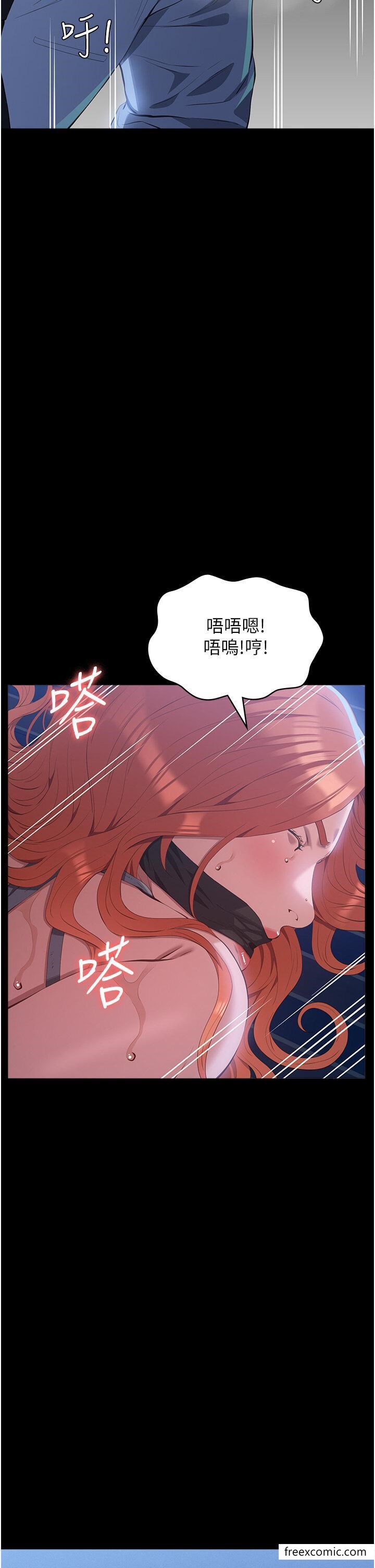 51P - 万能履历表