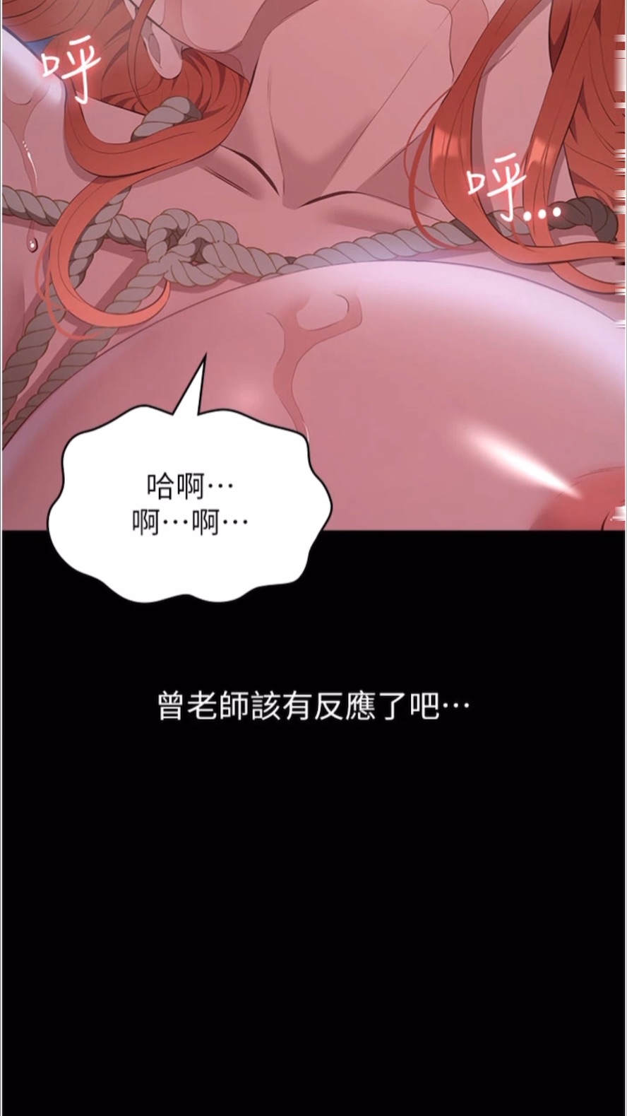 95P - 万能履历表