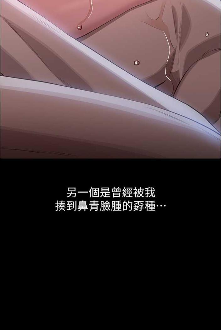 37P - 万能履历表