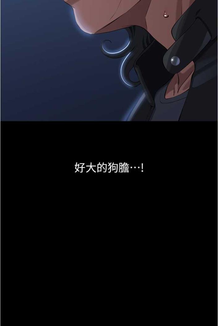44P - 万能履历表