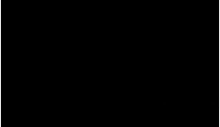 13P - 万能履历表