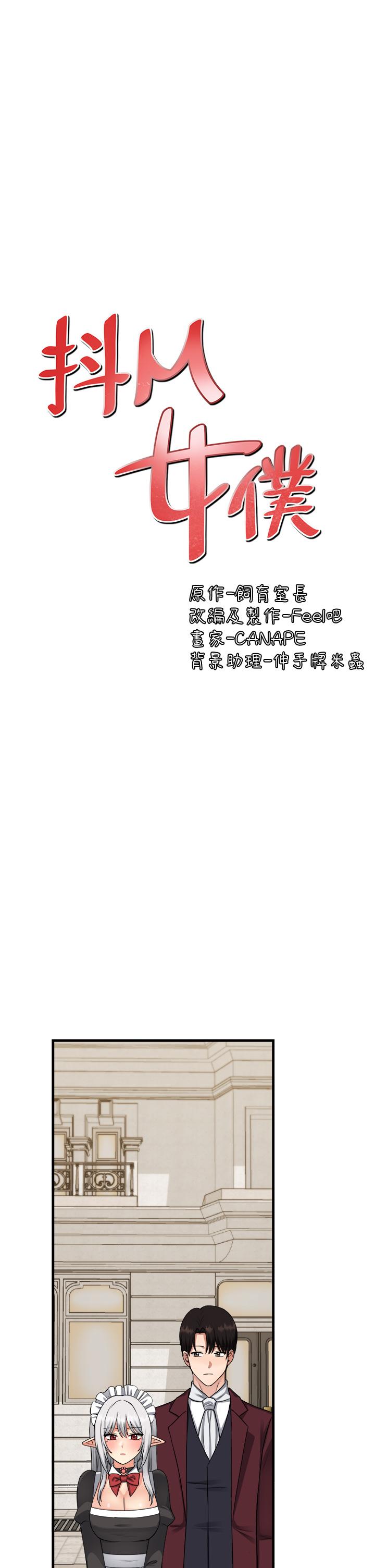 29P - 抖M女仆