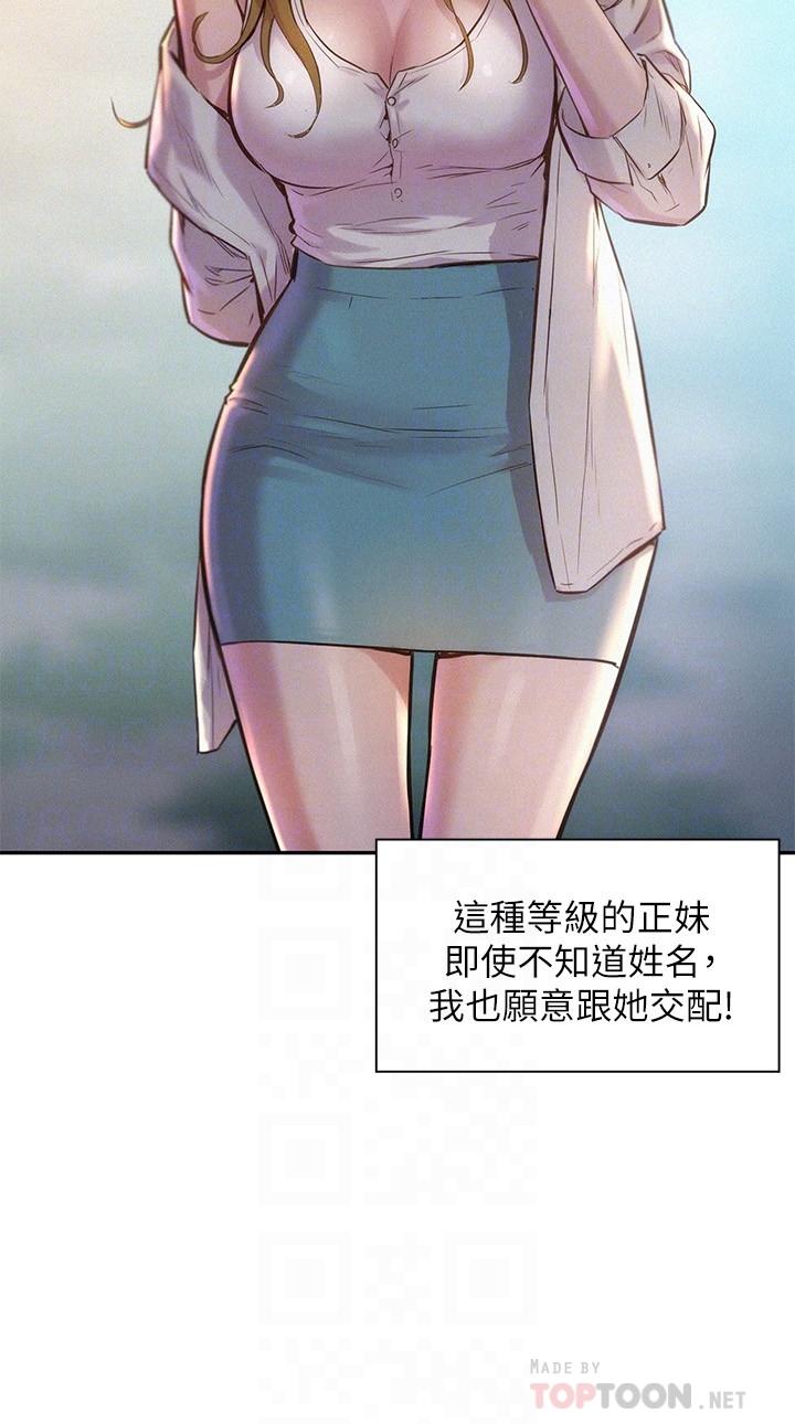4P - 浪漫露营