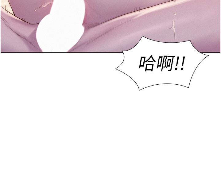 8P - 浪漫露营