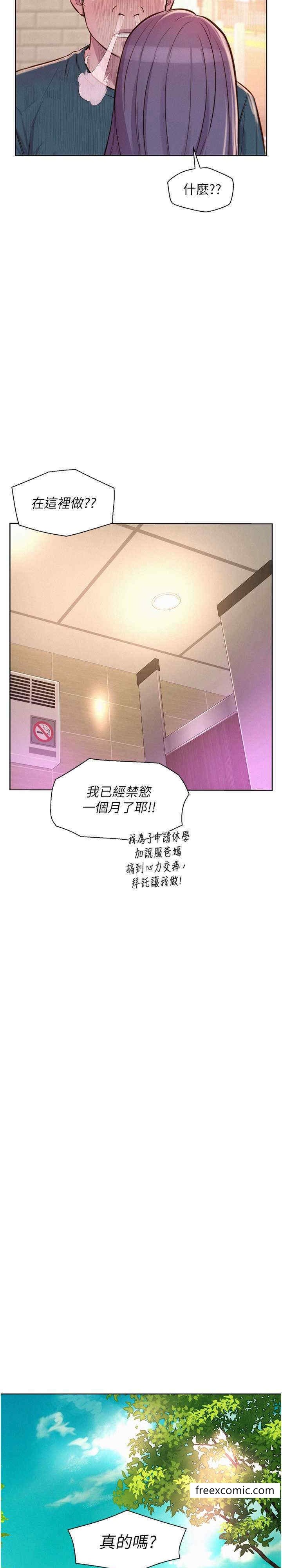 29P - 浪漫露营