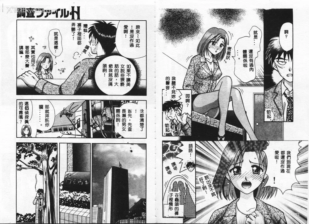 28P - [车海老] 调查ファイルH