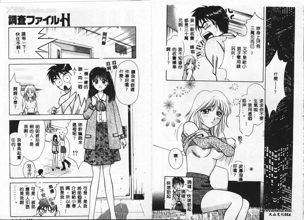 9P - [车海老] 调查ファイルH