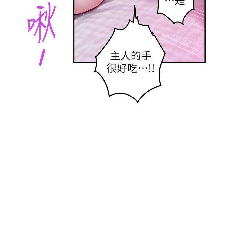 47P - 姊姊的房间