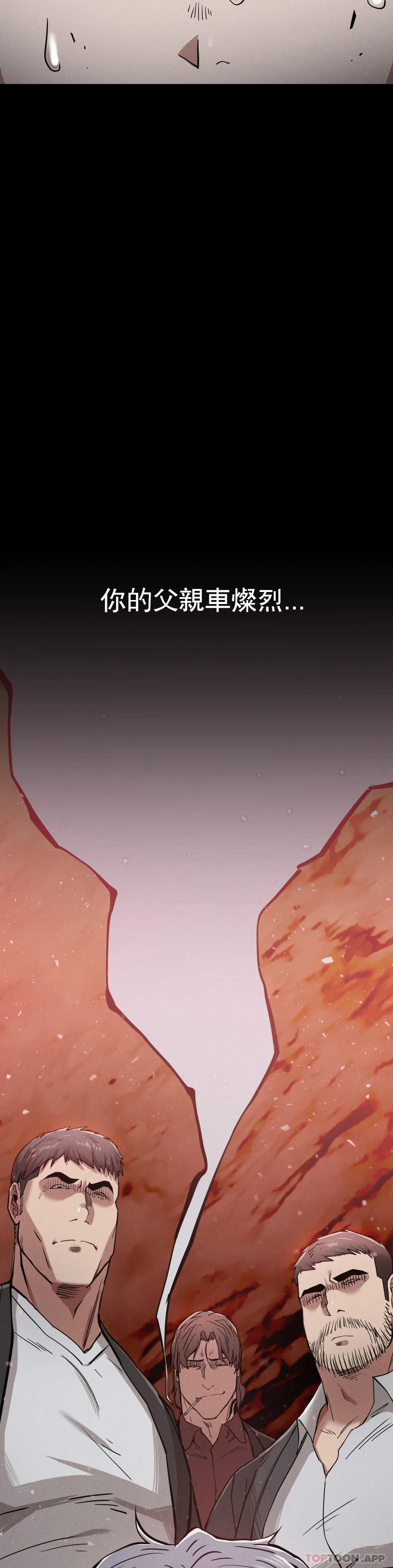 41P - 复仇